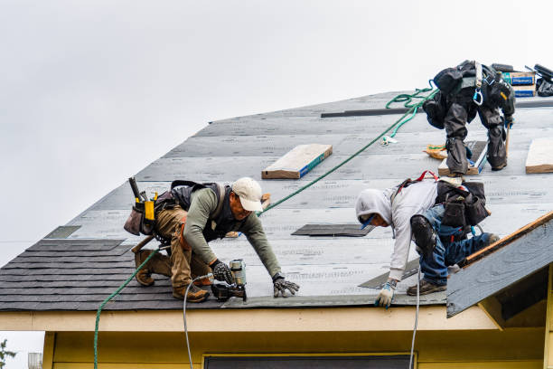 Professional Emergency Roof Repair technician working in Weirsdale, FL